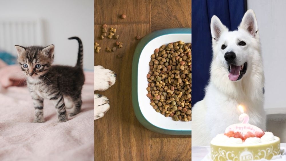 商品ラインナップ